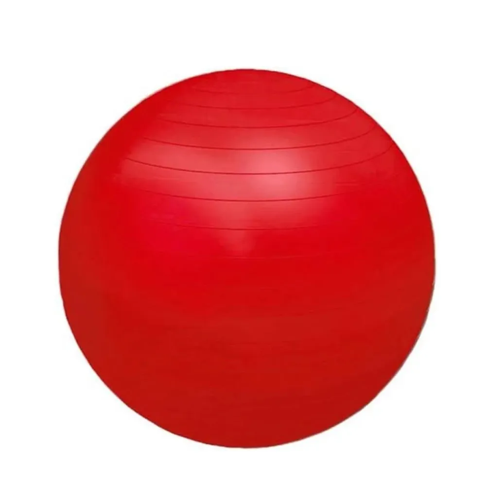 FG20 - BOLA PROFESSIONAL FISIOBALL FISIOPAUHER - 55 CM - VERM